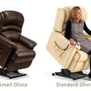 Olivia Lift and Rise Chair additional 7